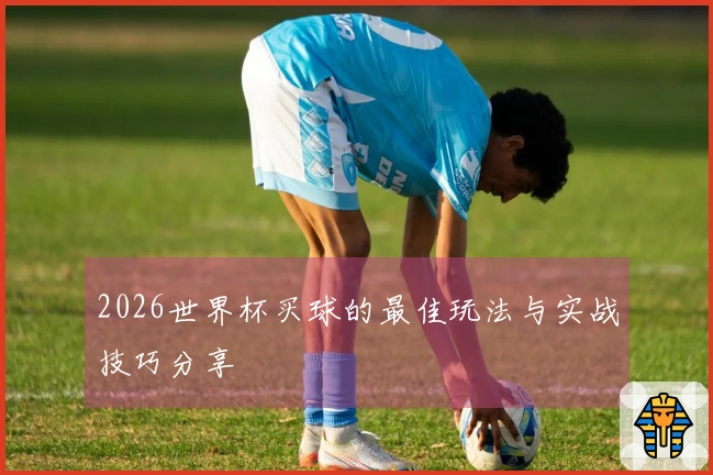 2026世界杯买球的最佳玩法与实战技巧分享