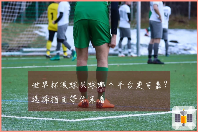 世界杯滚球买球哪个平台更可靠?选择指南等你来看