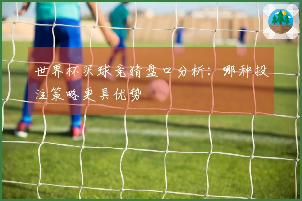 世界杯买球竞猜盘口分析：哪种投注策略更具优势