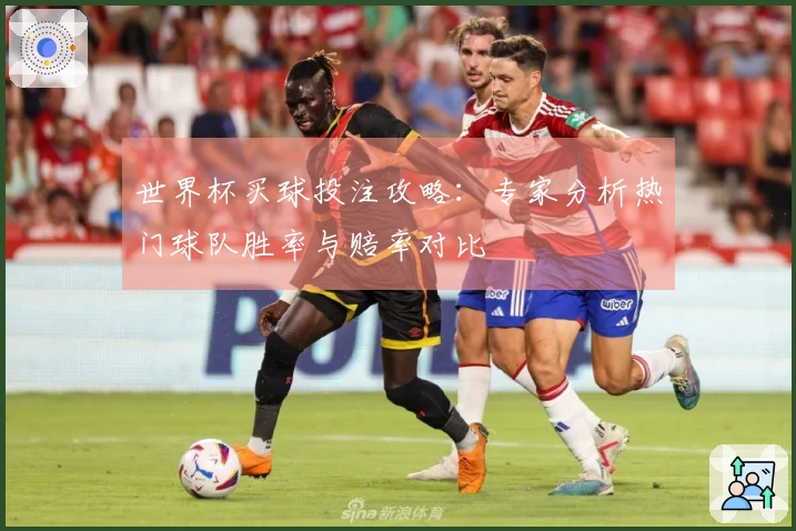 世界杯买球投注攻略：专家分析热门球队胜率与赔率对比