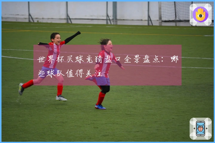 世界杯买球竞猜盘口全景盘点:哪些球队值得关注
