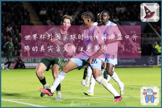 世界杯外围买球时如何解读盘口升降的真实含义与注意事项
