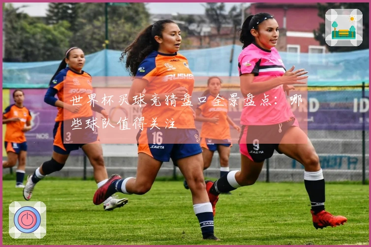世界杯买球竞猜盘口全景盘点：哪些球队值得关注