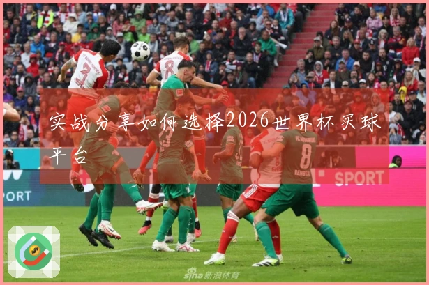 实战分享如何选择2026世界杯买球平台