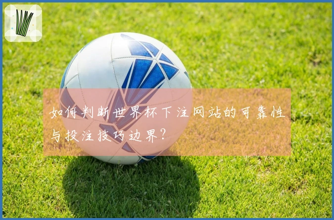 如何判断世界杯下注网站的可靠性与投注技巧边界？