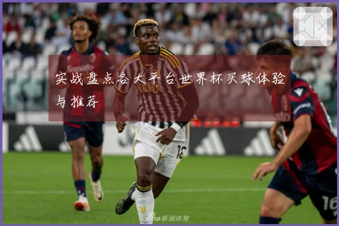 实战盘点各大平台世界杯买球体验与推荐