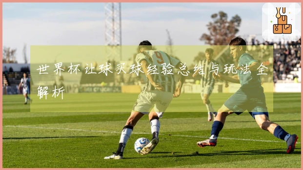 世界杯让球买球经验总结与玩法全解析