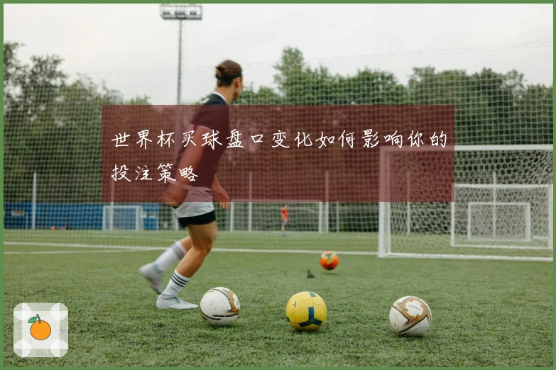 世界杯买球盘口变化如何影响你的投注策略