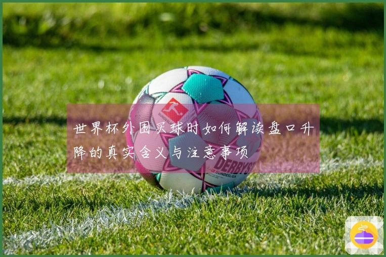 世界杯外围买球时如何解读盘口升降的真实含义与注意事项