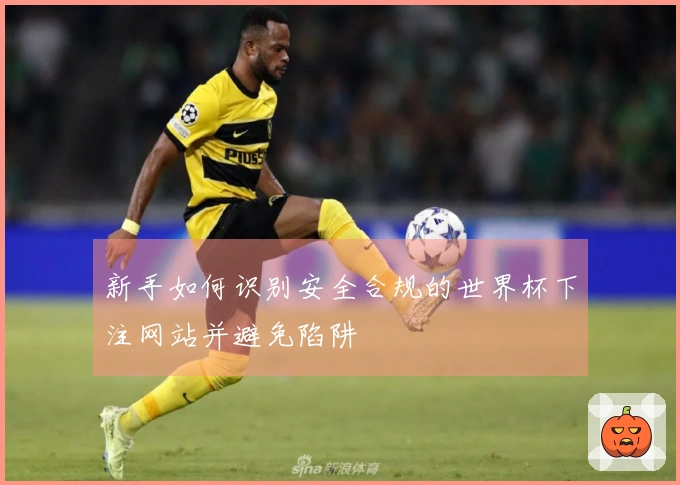 新手如何识别安全合规的世界杯下注网站并避免陷阱