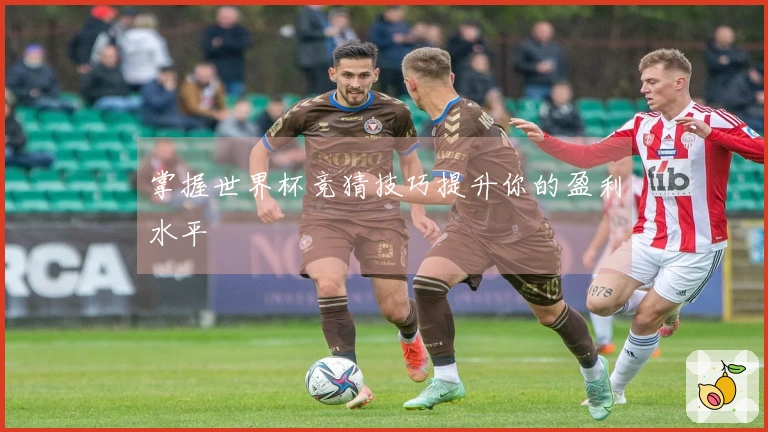 掌握世界杯竞猜技巧提升你的盈利水平